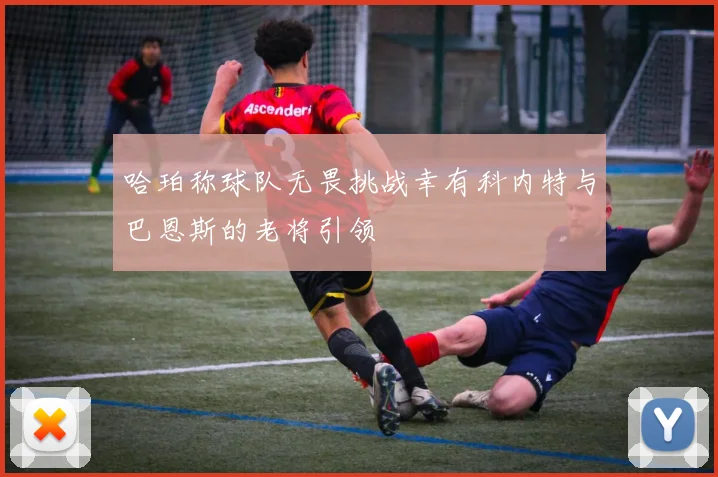 哈珀称球队无畏挑战幸有科内特与巴恩斯的老将引领
