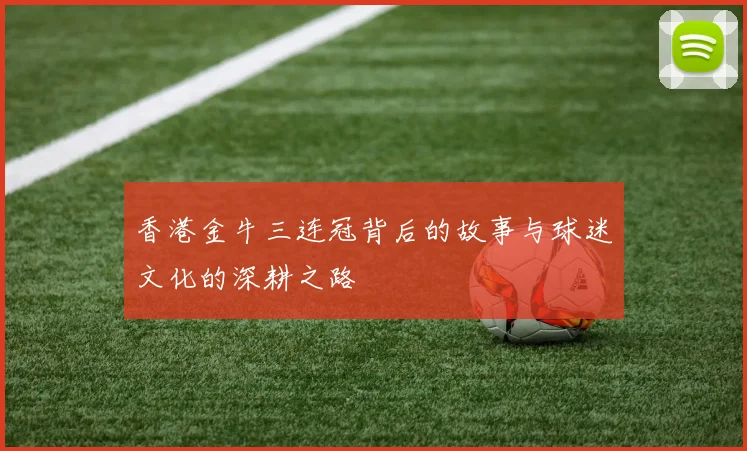 香港金牛三连冠背后的故事与球迷文化的深耕之路